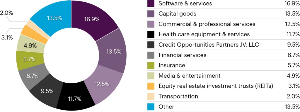 Sector exposure pie chart.
Software & services: 16.9%
Capital goods: 13.5%
Commercial & professional services: 12.5%
Health care equipment & services: 11.7%
Credit Opportunities Partners JC, LLC: 9.5%
Financial services: 6.7%
Insurance: 5.7%
Media & entertainment: 4.9%
Transportation: 3.1%
Equity Real Estate Investment Trusts (REITs): 2.0%
Other: 13.5%
